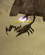 Zebus Scout